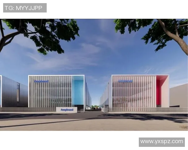 龙东足球崛起之路探秘：从草根到职业联赛的奋斗与荣耀