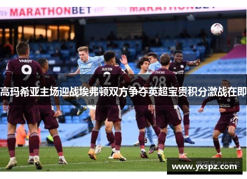 高玛希亚主场迎战埃弗顿双方争夺英超宝贵积分激战在即